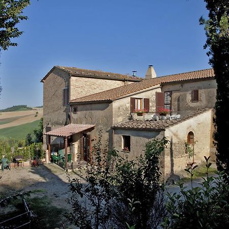 Agriturismo Podere Olivello In Val D'Orcia Montalcino Dış mekan fotoğraf