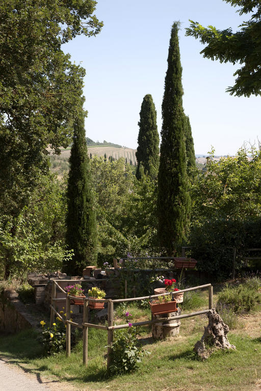 Agriturismo Podere Olivello In Val D'Orcia Montalcino Dış mekan fotoğraf