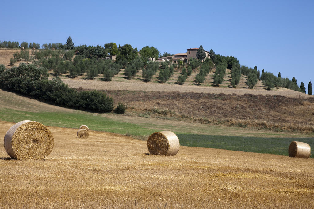Agriturismo Podere Olivello In Val D'Orcia Montalcino Dış mekan fotoğraf