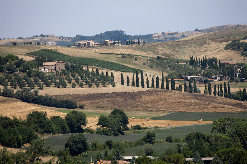 Agriturismo Podere Olivello In Val D'Orcia Montalcino Dış mekan fotoğraf